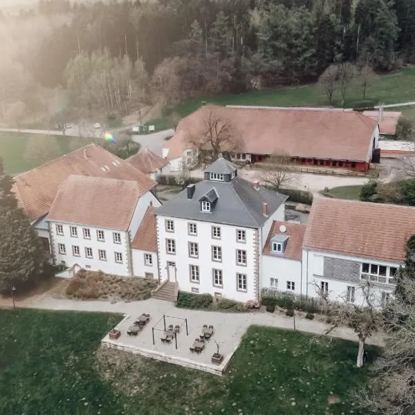 Hotel Hofgut Imsbach Lapointe, hotel in Braunshausen