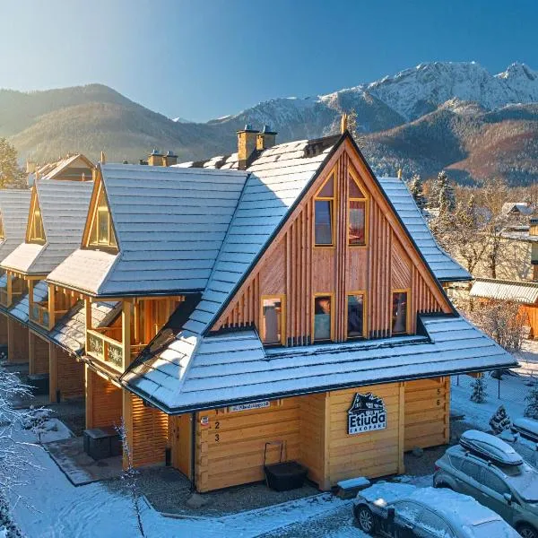 Etiuda Zakopane, hotel di Zakopane