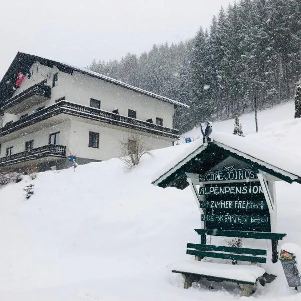 Alpenpension Gasthof, hotel v destinaci Ratten