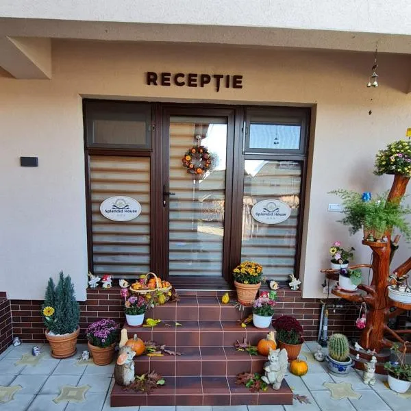 Splendid House, hotel in Făgăraş
