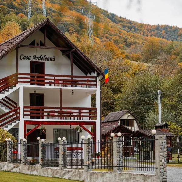 Casa Ardeleana, hotel u gradu Lotrioara