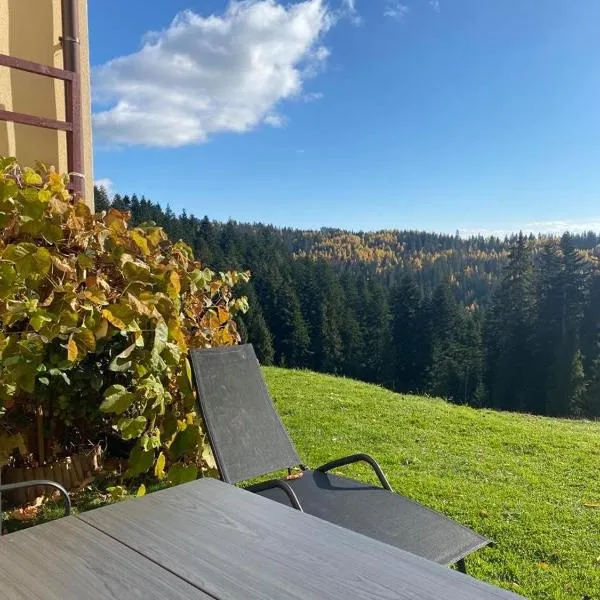 Apartament w górach Gorce, hotel v destinaci Nowy Targ