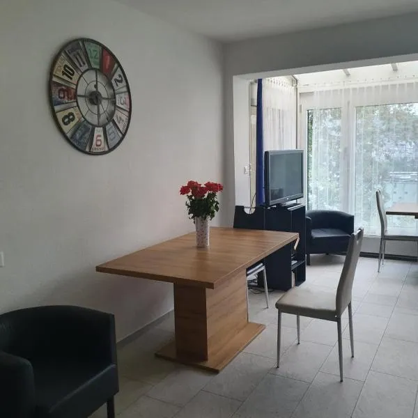 Viktoria Budget Hostel, hotell Zürichis