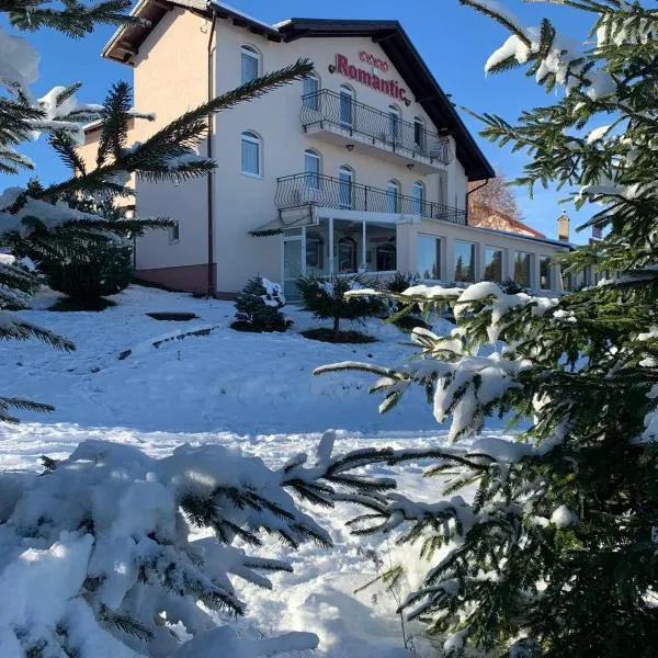 Pensiunea Romantic Belvedere Paltinis, hotel en Păltiniş