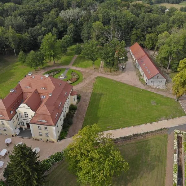 Pałac Bogaczów - hotel - restauracja, hotel in Brzeźnica