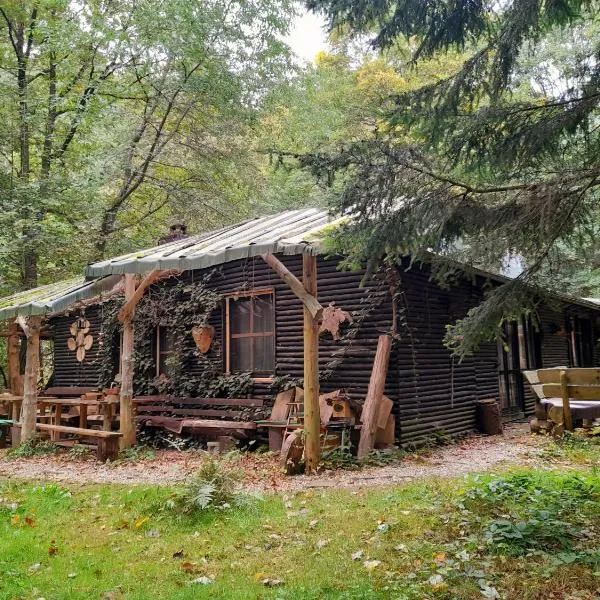 Das wilde Auwaldhaus, hotell i Bertsdorf