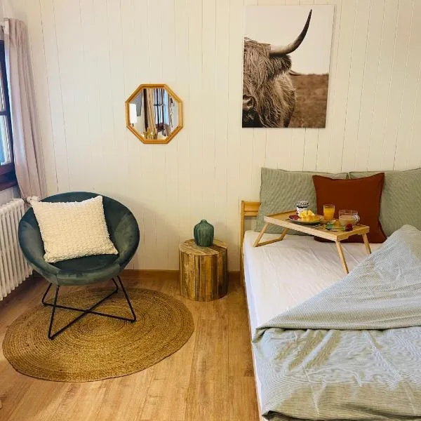 Studio avec sauna - 300m des pistes, hotel v destinaci Leysin