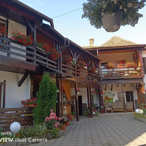 Pensiunea Liana, hotel v destinaci Nemşa