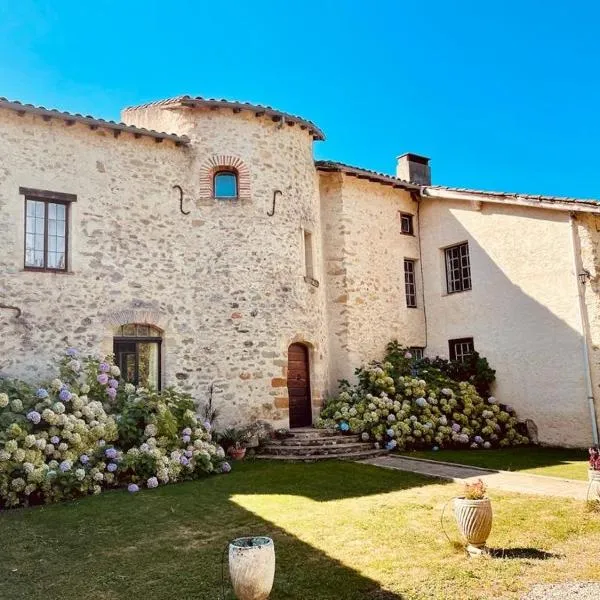 Domaine La Tour, hotel in Montégut-Plantaurel