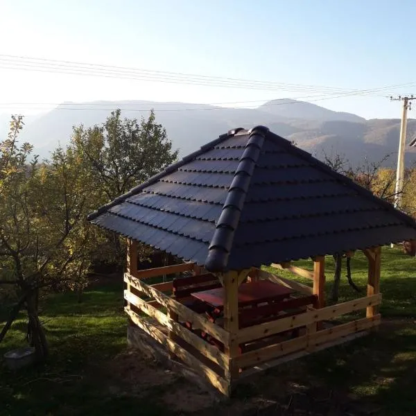 Seoska kuća Rakić - Tara, hotel in Bjeluša