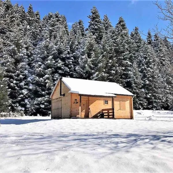 Wood Cabin by the River - for Nature Lovers, hotel en Vitina