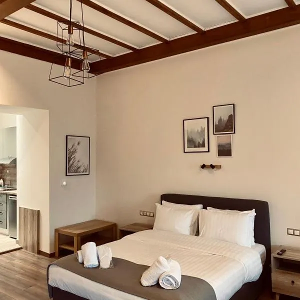 11 Luxury Apartments Metsovo, hotel in Metsovo