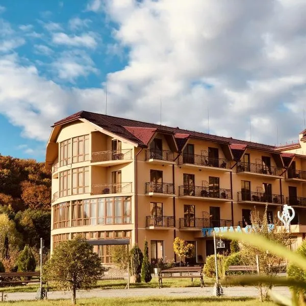 Termal Star Complex, hotel in Nyzhne Solotvyno