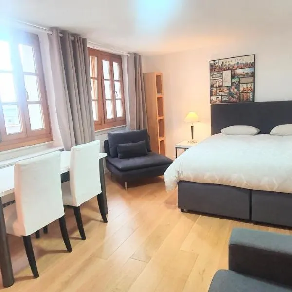 Boël 3 studio, hotel v Ženevě
