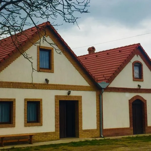 Takács Pince apartman, hotel in Jánoshalma