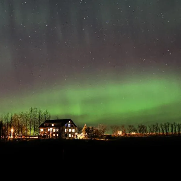 Gistiheimilið Bitra, hótel í Vatnsholti