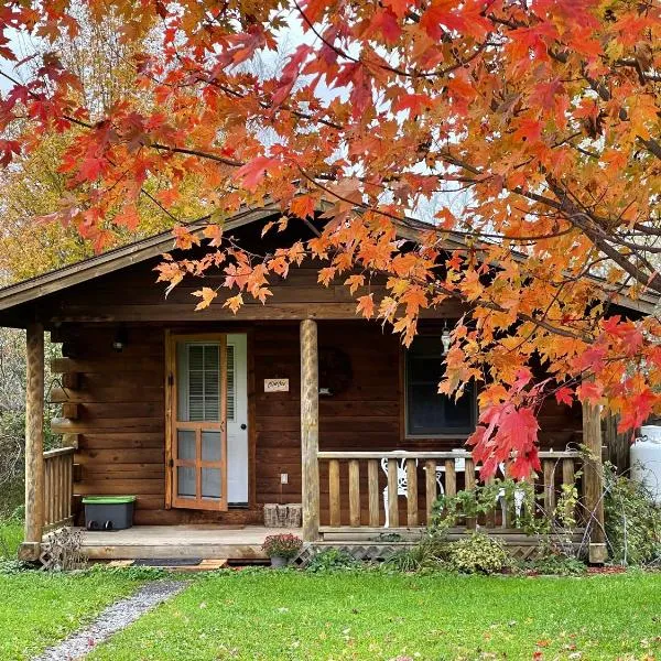 Mill Creek Cabins, hotel v destinaci Lodi