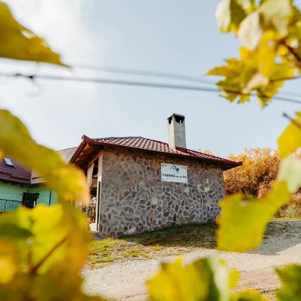 Cabana Dintre Vii, Hotel in Gîrbova