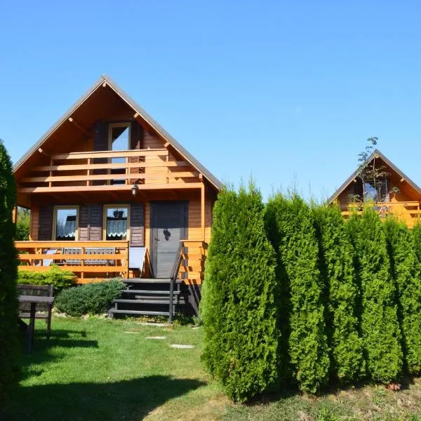 Domki Pod Lasem, hotel din Polańczyk