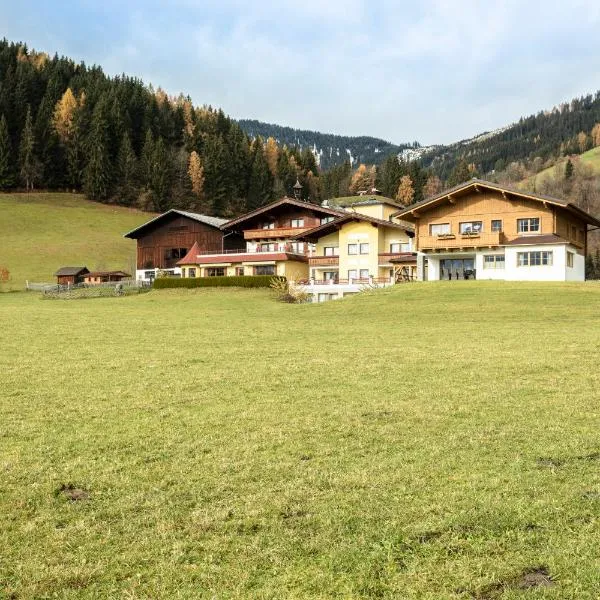 Hinteraigengut, hotel a Flachau