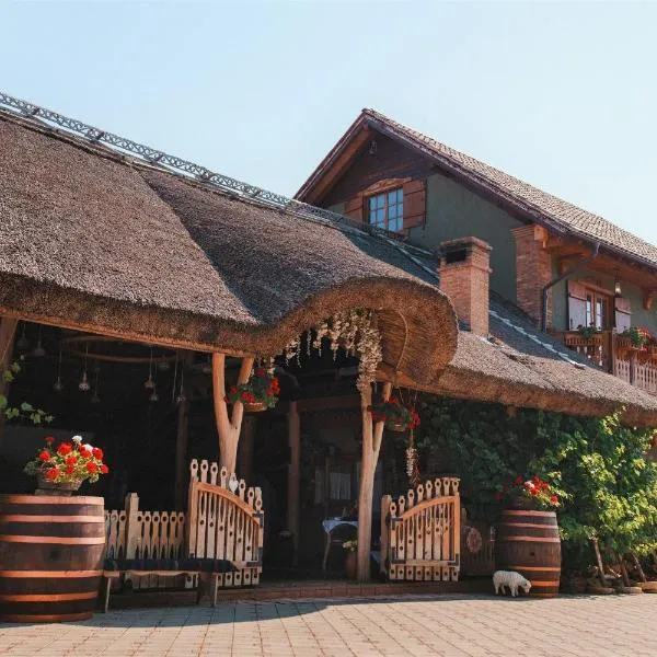 Gagauz Sofrasi, hotel v destinaci Congaz