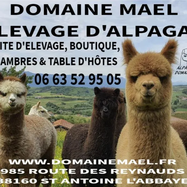 ALPAGAS DU DOMAINE MAEL, Hotel in La Sône