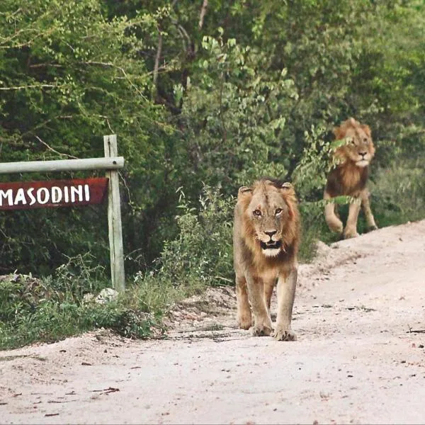 Masodini Game Lodge, hotel v destinaci Hoedspruit