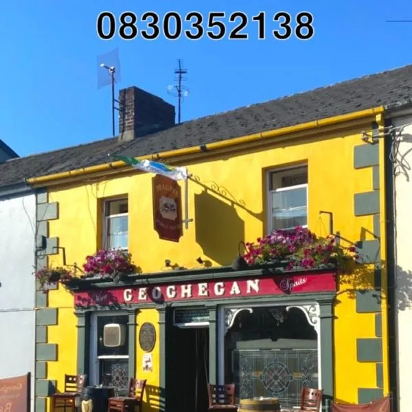 Geoghegans Magpie Bar and B&B, hotel en Foynes