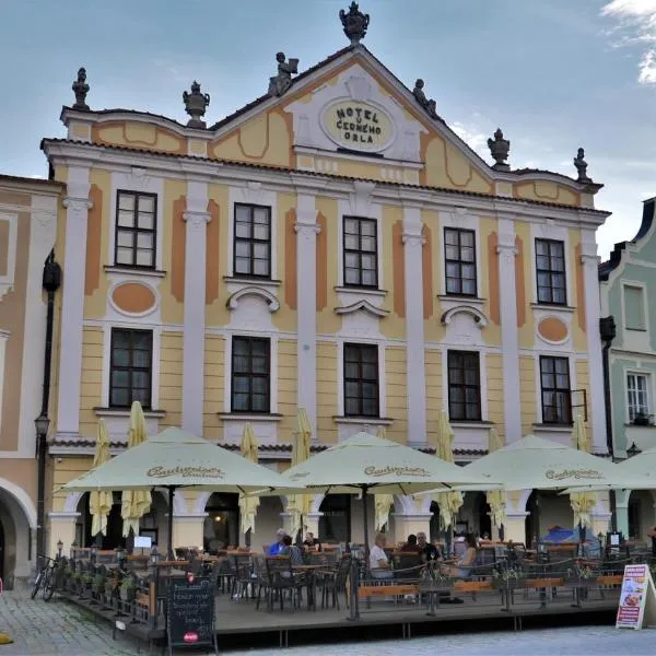 Hotel U Černého orla, hotel in Borovná