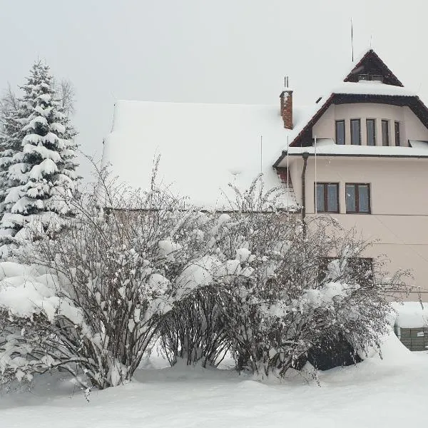 Pension Fortuna, hotel v Halenkově