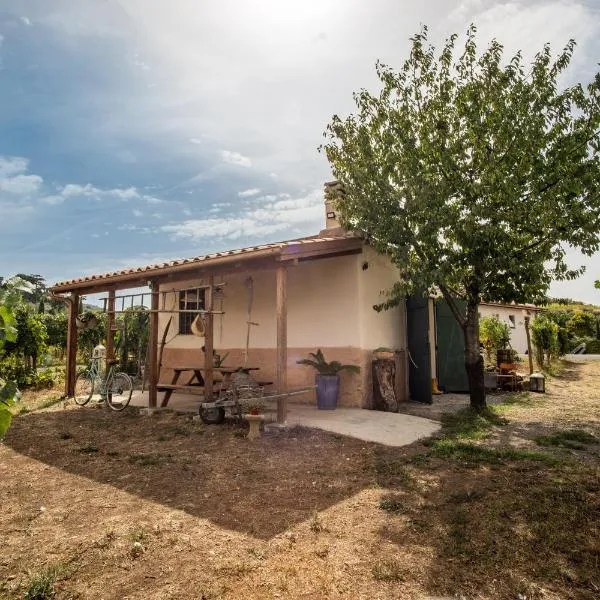 Un' Ottima Annata - La casa nel vigneto, hotel in Monte Porzio Catone