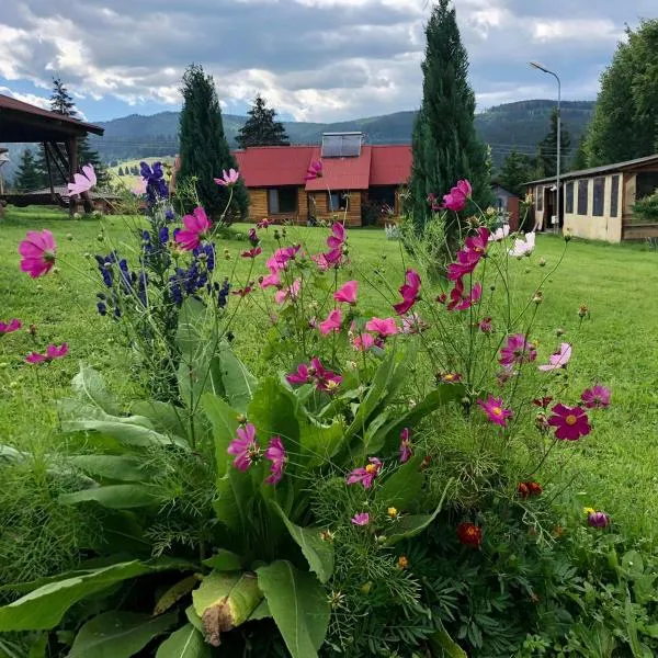 Cabana La Plai Vest - cozy private place in the mountain, hotel in Neagra Şarului