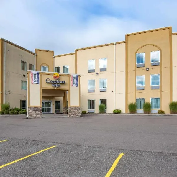 Comfort Inn Apalachin - Binghamton W Route 17, hotel en Nichols