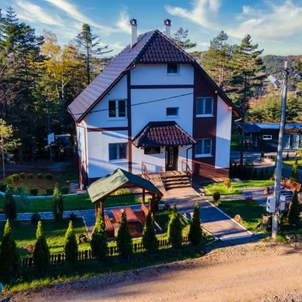 Apartmani Borova Iglica Divčibare, hotel in Divčibare