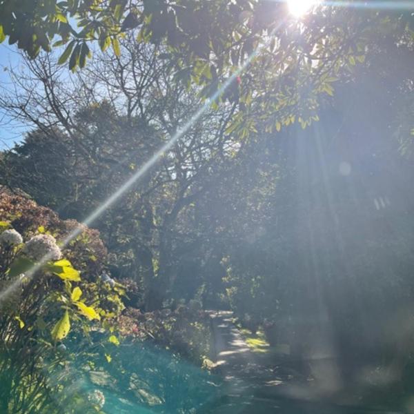 Cabana Austríaca no Vale Encantado