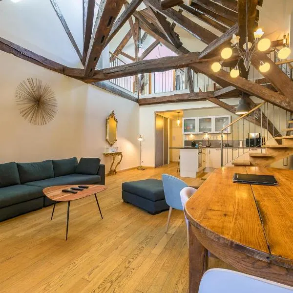 Le Mucie*****LOFT au centre ville de Dijon – hotel w mieście Dijon
