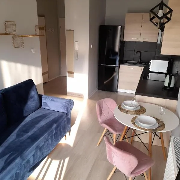 Apartament Słowackiego Września、ヴジェシニャのホテル