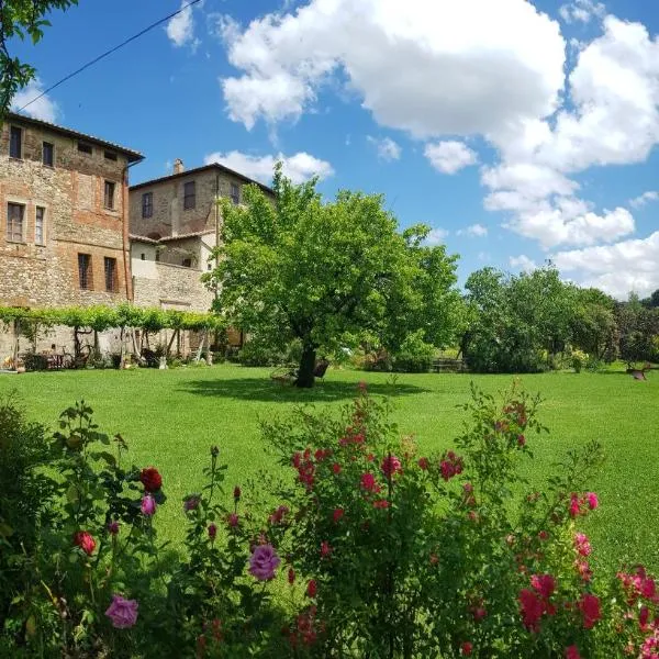 Agriturismo Abbazia Sette Frati a casa di Sara, hotel in Castiglione della Valle