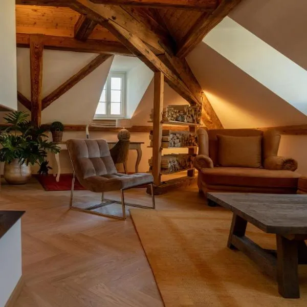Moderne Altbauwohnung im Zentrum von Bern mit Wellness、ベルンのホテル