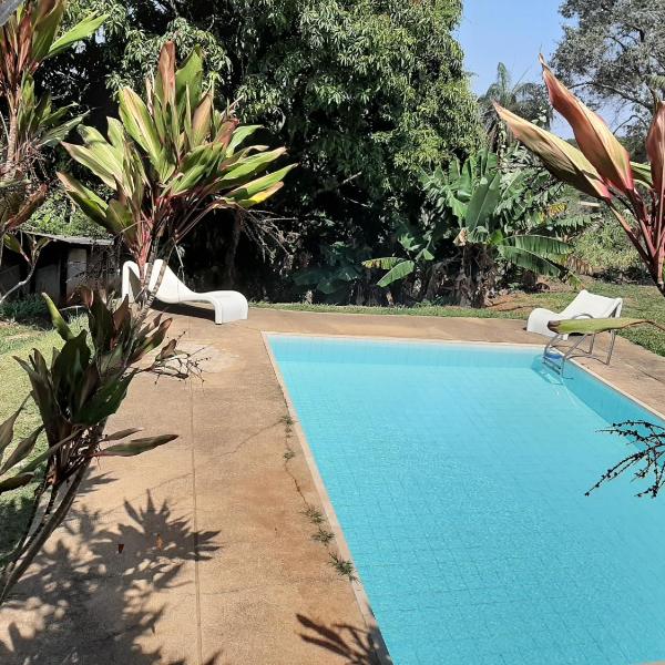 Sitio Carvalho da Serra - Foto 4