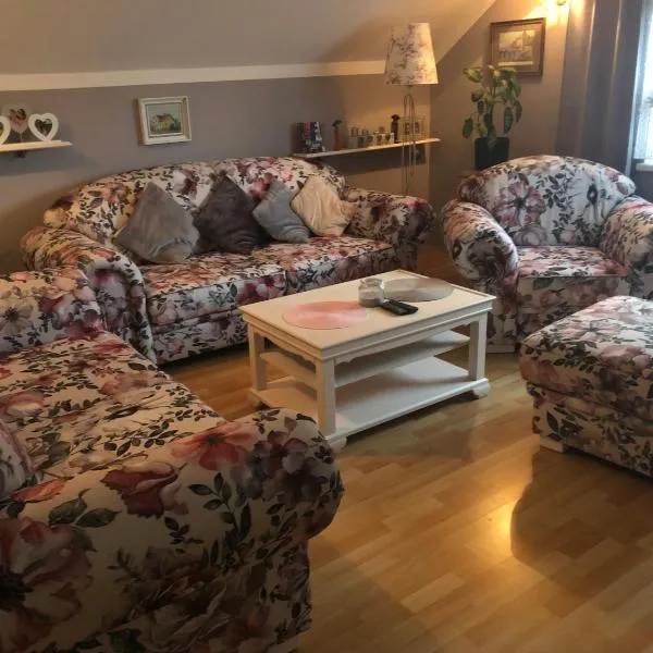 Apartmán u Míši, ξενοδοχείο σε Suchdol nad Luznici