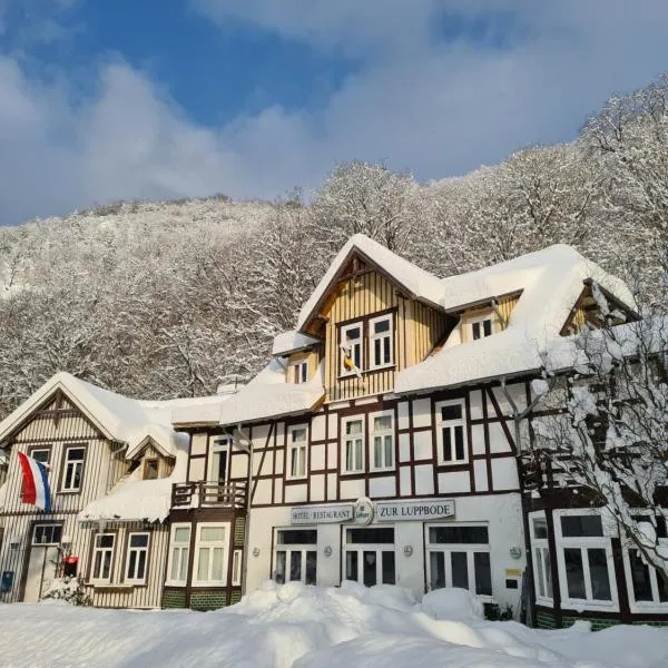 Hotel Zur Luppbode, hotel in Kreuztal