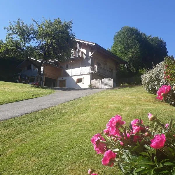 Appartement Borne – hotel w mieście Saint-Jean-dʼAulps