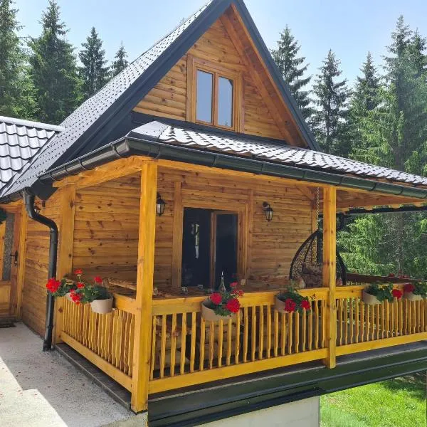 Brvnara Vukovine, hotel v destinaci Nova Varoš