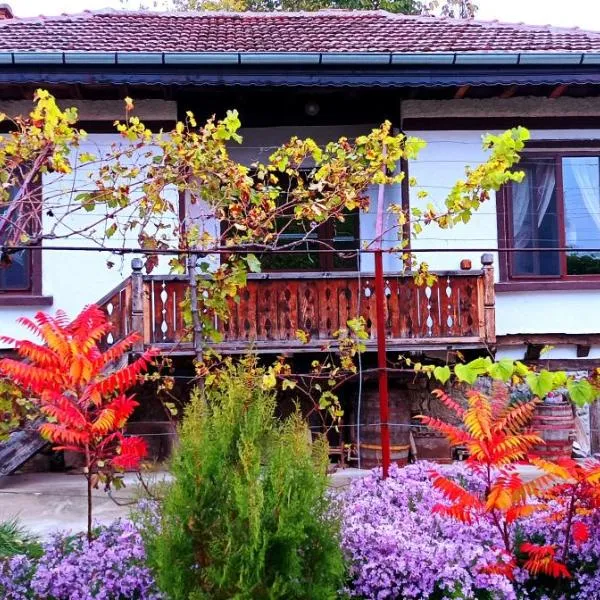 Babinata Kashta-Srebarna, hotel Szrebarnában