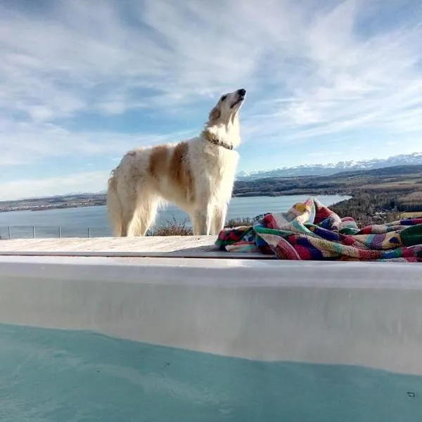 Swiss Borzoi House, hotell sihtkohas Bellerive