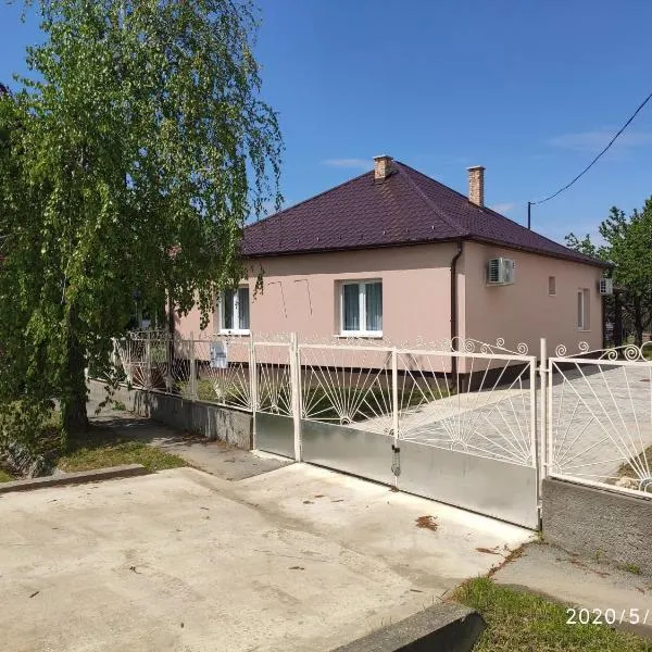 Badak Vendégház, hotel v destinaci Beregdaróc