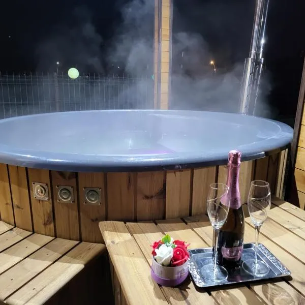 Pensiunea Beatrice, hotel i Vatra Dornei