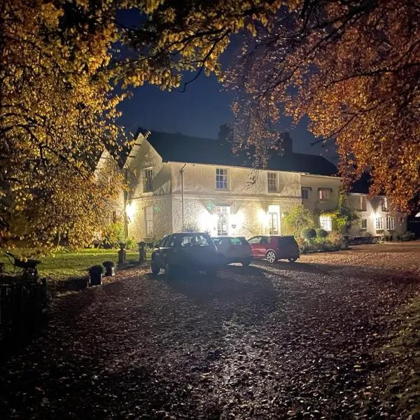 Old Rectory - Scoulton, hotel in Stow Bedon