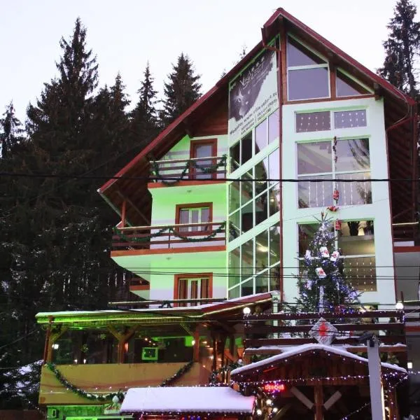 Villa Select, hotel v destinaci Predeal